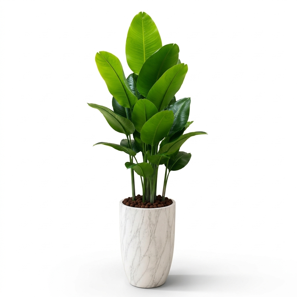 Custom Ficus Tree Arrangement