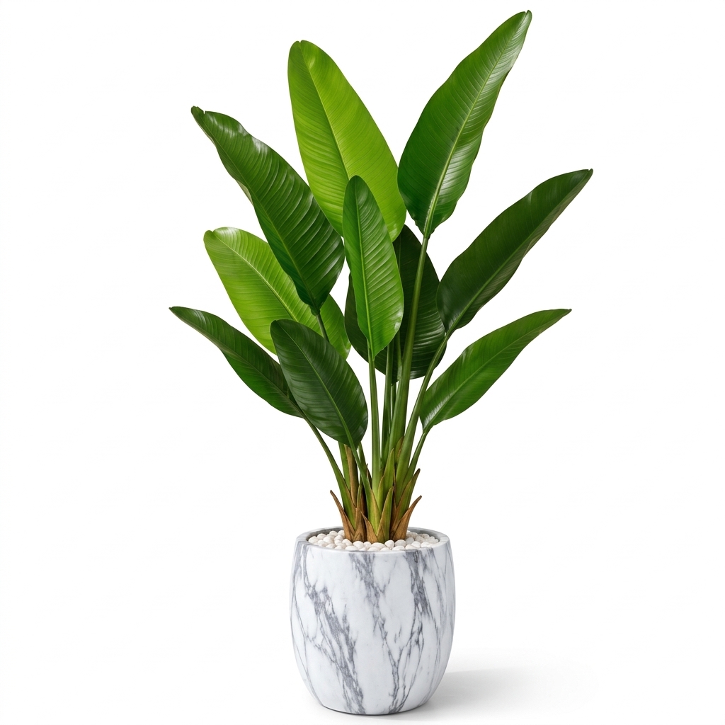 Custom Desk Plant Arrangement