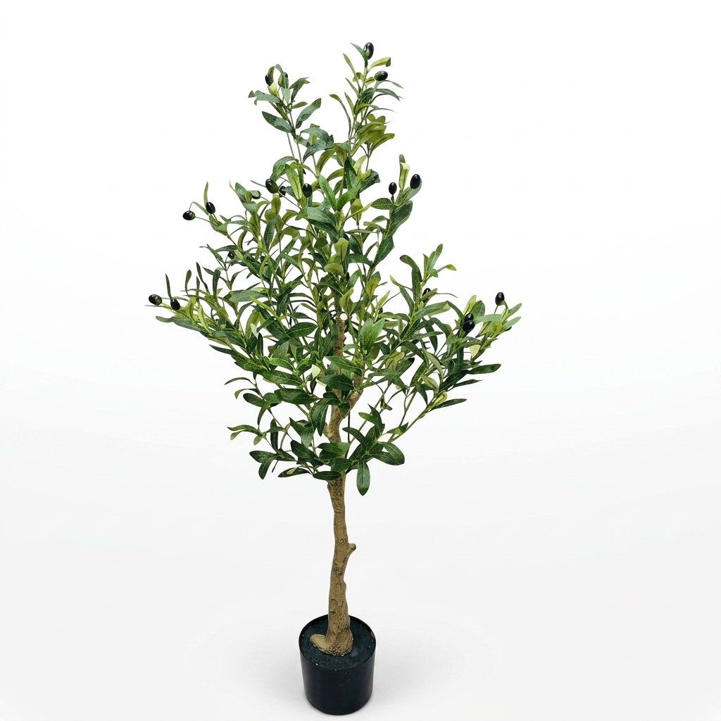 Compact Olive Tree 120cm