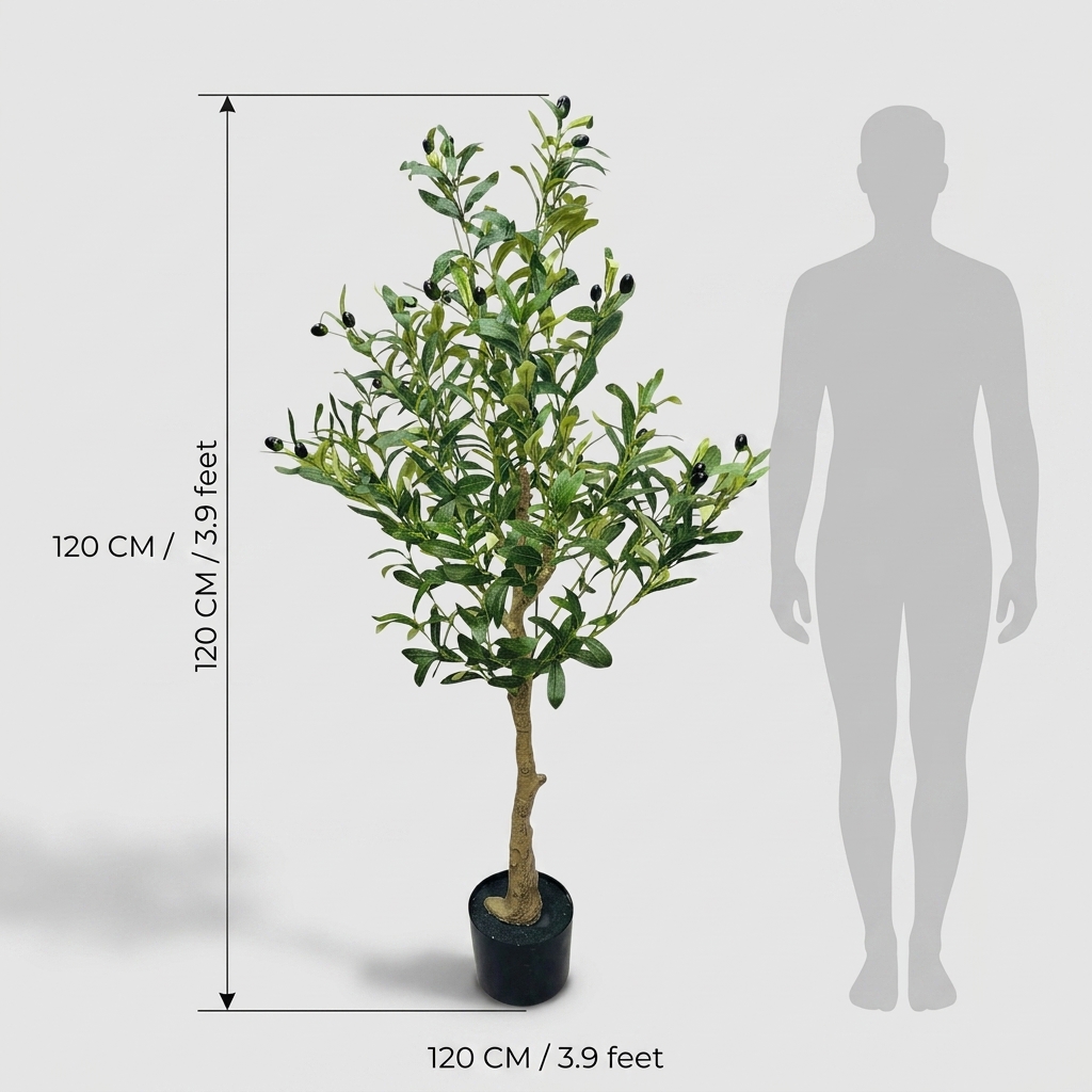 Compact Olive Tree 120cm detail 3