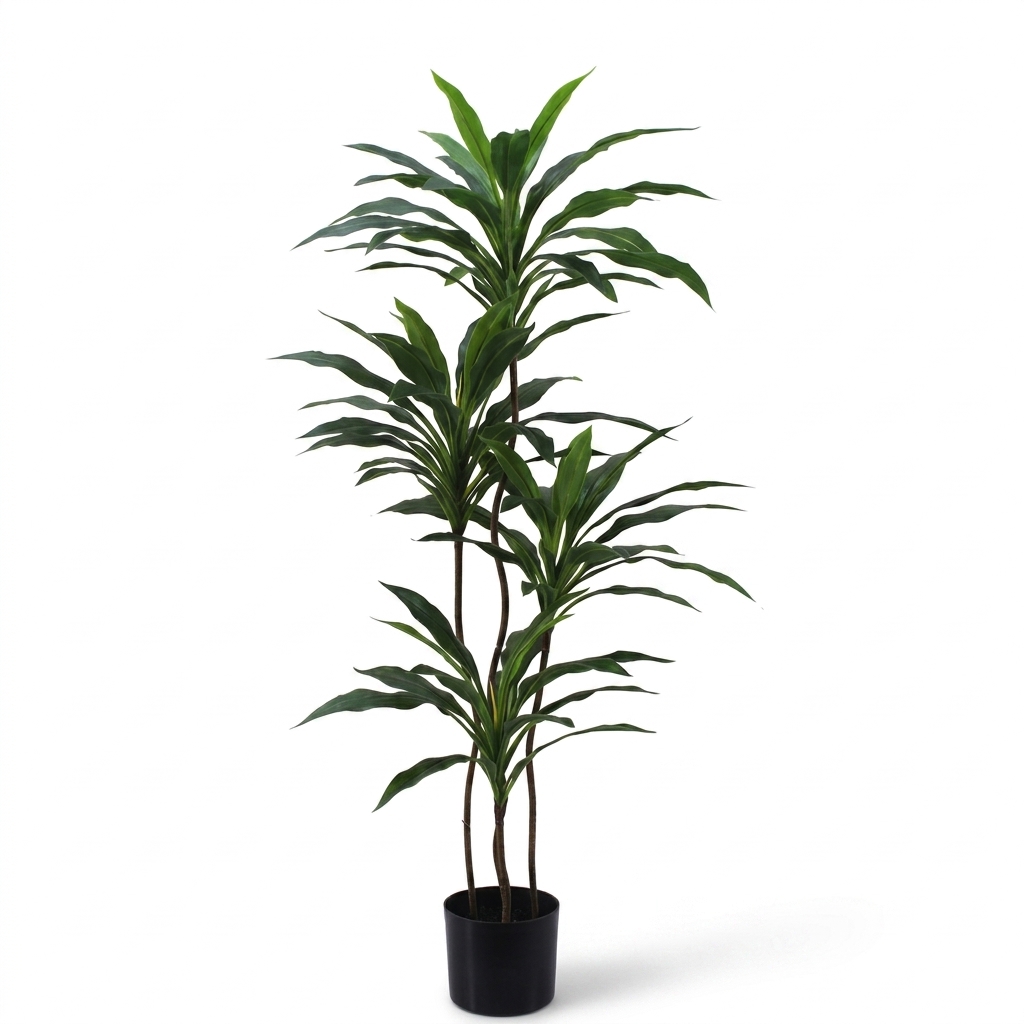 Dracaena Fragrans Indoor Plant 120cm