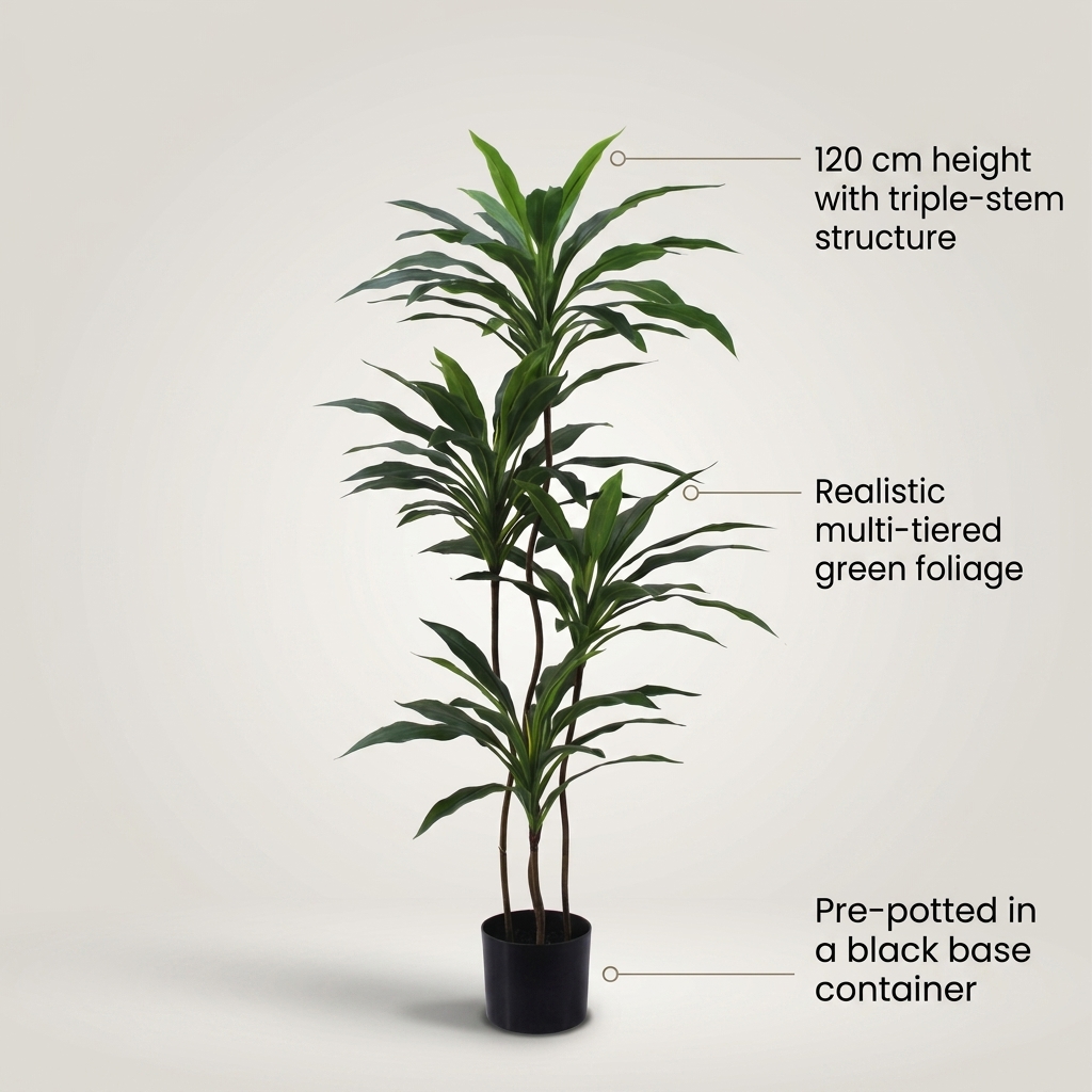 Dracaena Fragrans Indoor Plant 120cm detail 5