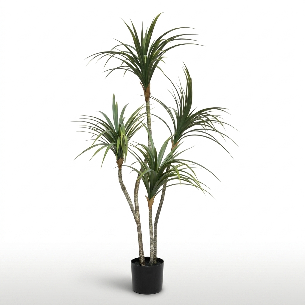 Dracaena Fragrans Corn Plant 130cm