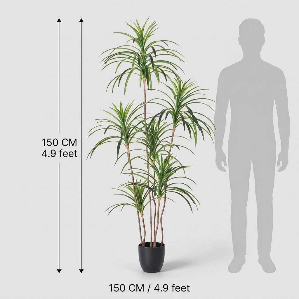 Dracaena Fragrans Massangeana 150cm detail 3
