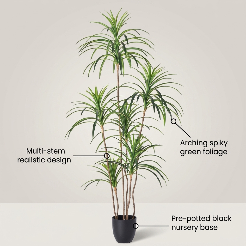 Dracaena Fragrans Massangeana 150cm detail 5