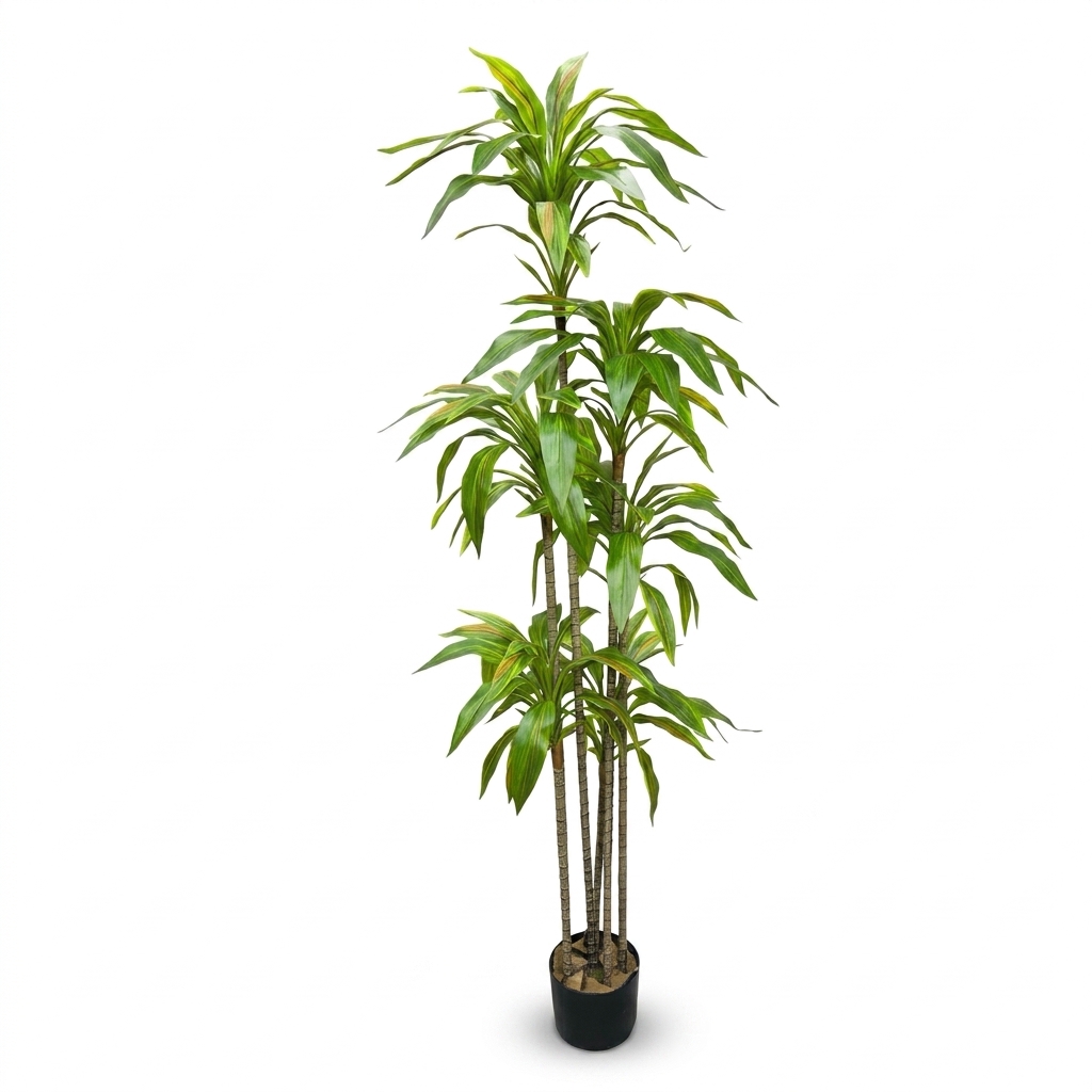 Premium Artificial Dracaena Fragrans 170cm