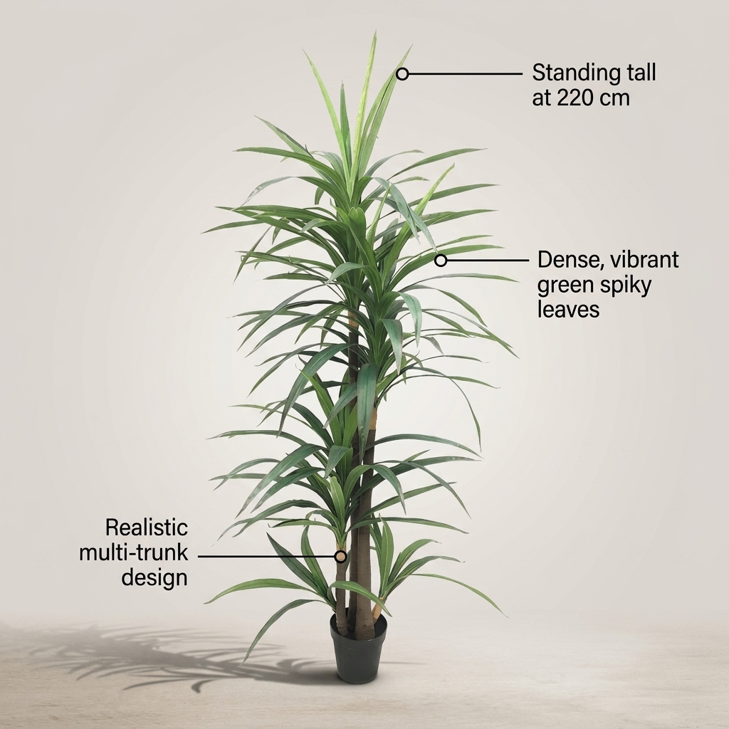 Dracaena Fragrans Tall Plant 220cm detail 5