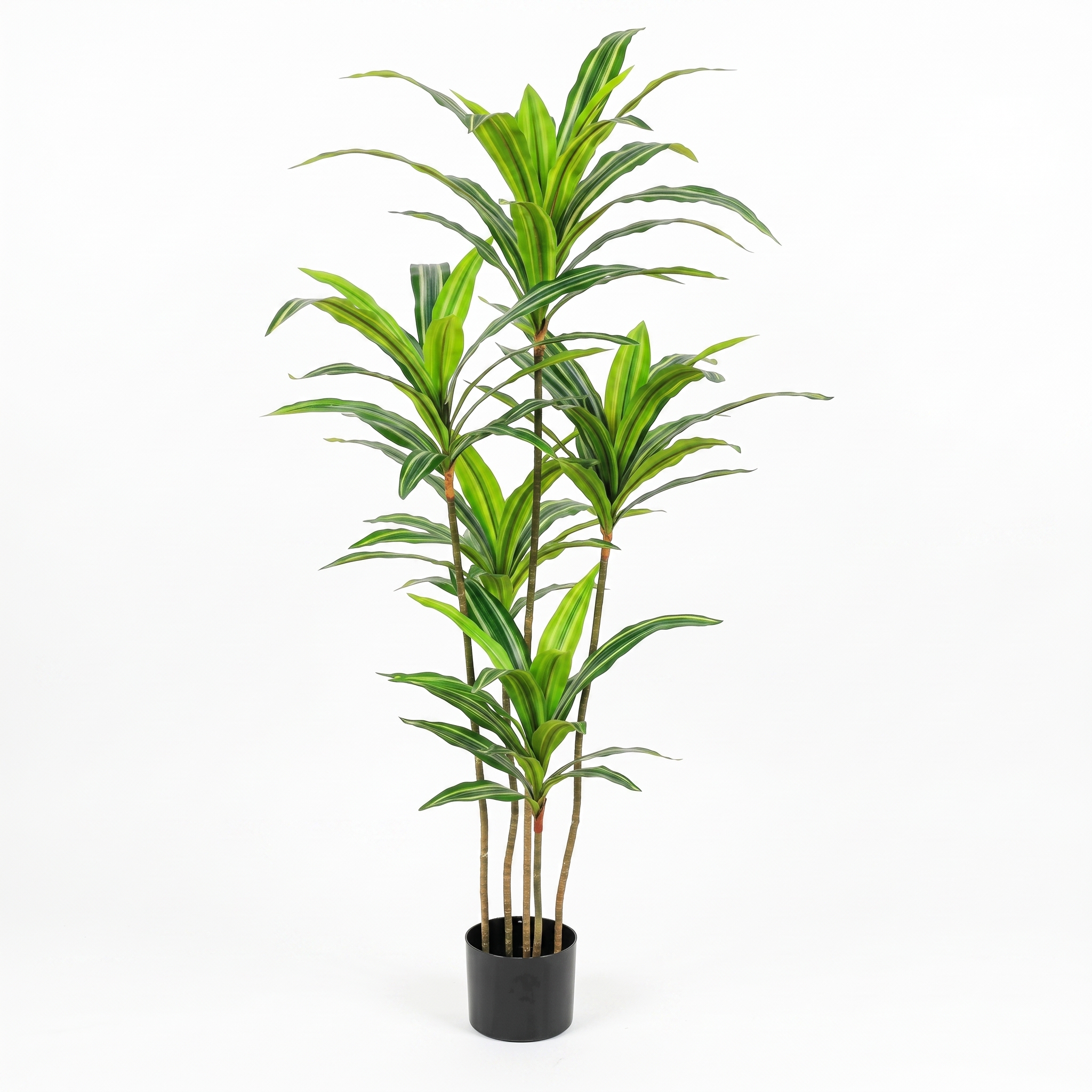 140cm Sleek Artificial Dracaena