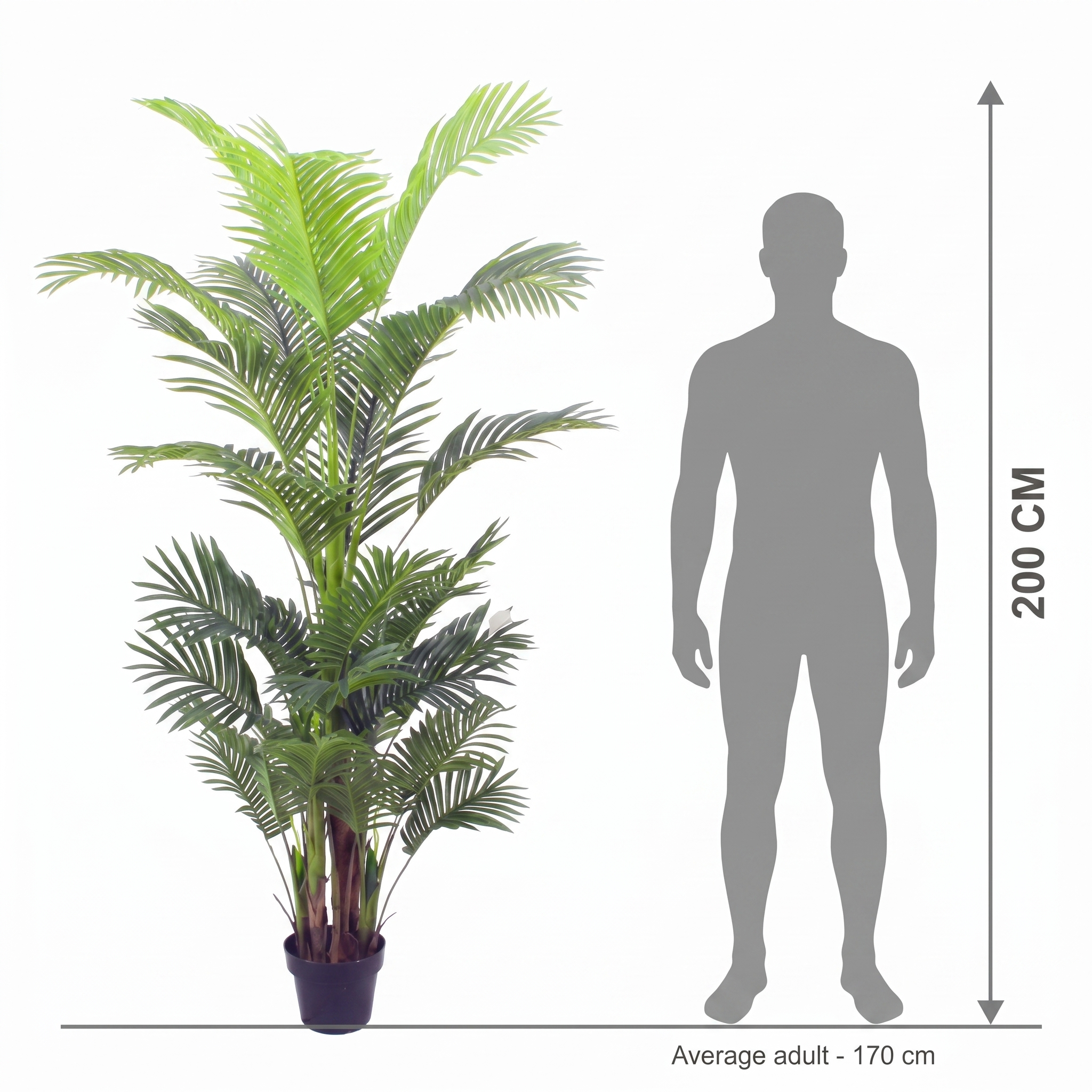 200cm Tall Realistic Artificial Palm Trees Faux Patio Plant detail 3