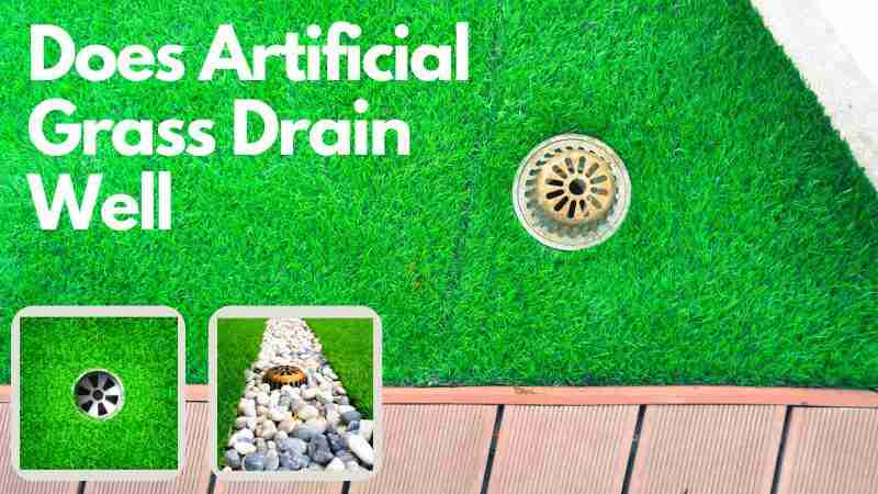 Does Artificial Grass Drain Well?
