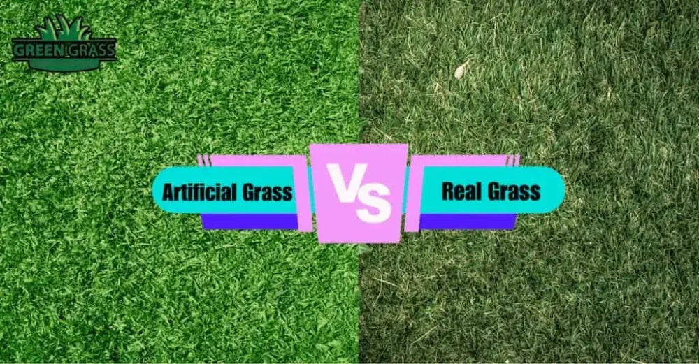 Artificial Grass VS Real Grass : Which Should Choose?