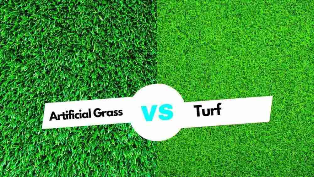 Artificial Grass vs Turf: What's the Best Choice?
