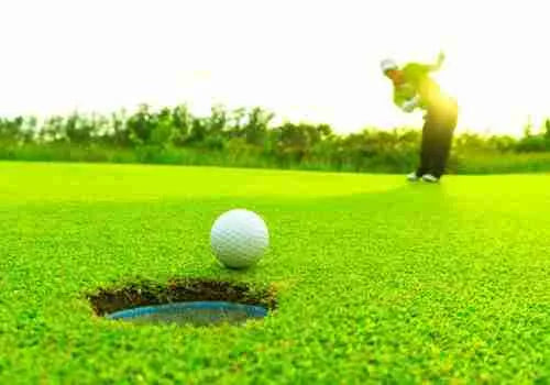 Top 10 Causes of Using Artificial Grass