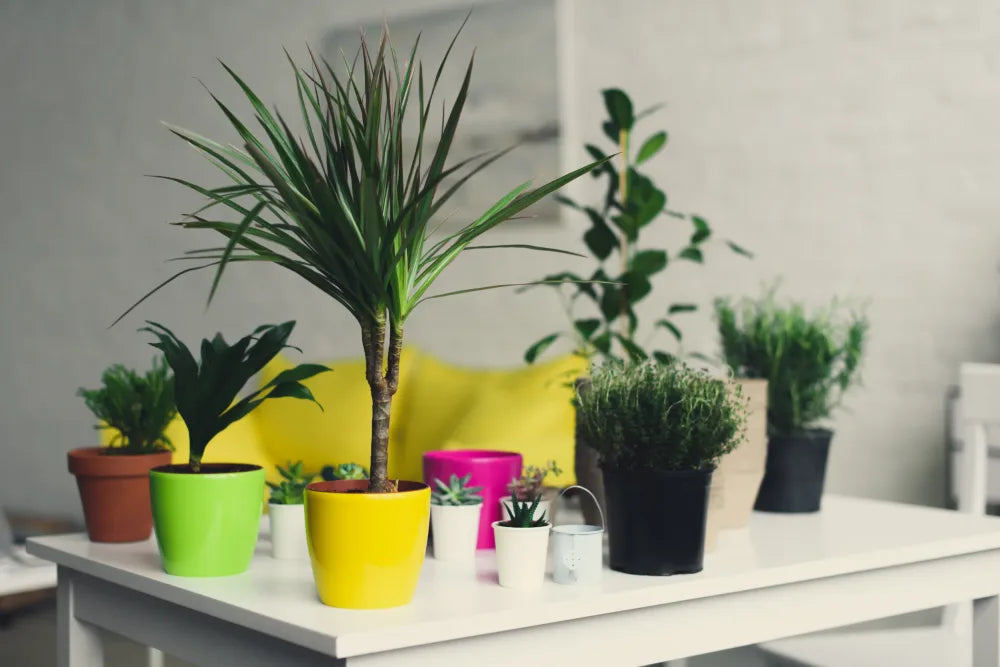 How to Make Artificial Potted Plants in Dubai: A 10-Minute Guide
